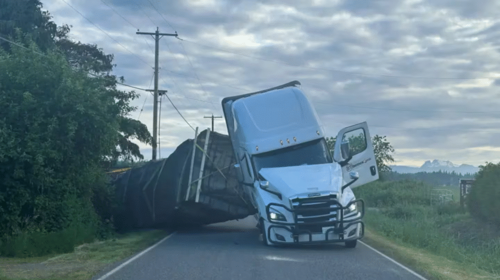 The swarms broke away from the truck after the accident. (